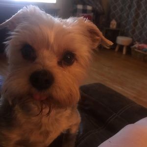 Meet your Posher, Stacey